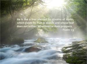 psalm-1-3