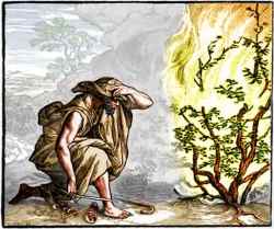 moses-at-the-burning-bush